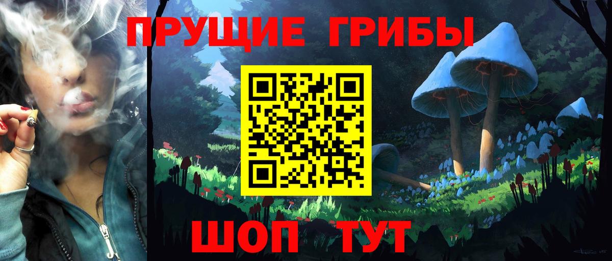 Миасс  Псилоцибиновые грибы мухоморы  Вход с VPN 