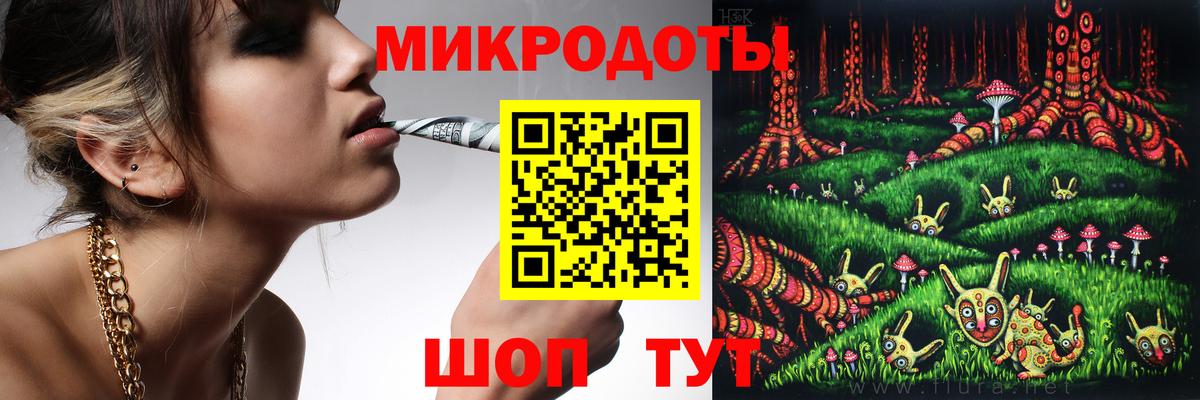 Галлюциногенные грибы Psilocybine cubensis Миасс