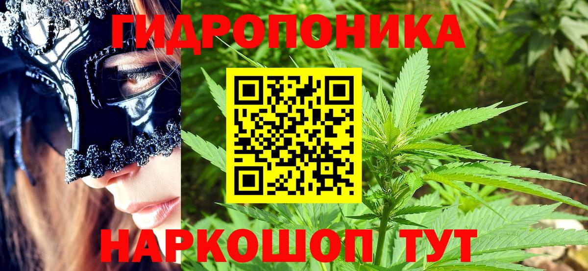 Каннабис семена  Каннабис MAZAR  Конопля VHQ  Миасс  Вход с VPN 
